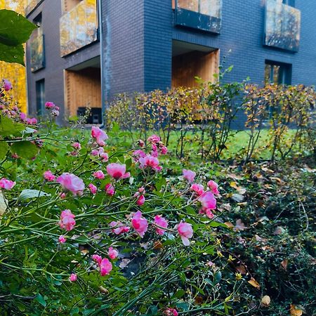Apartament Magia Puszczy Z Widokiem Na Puszcze Bialowieska Hajnówka エクステリア 写真